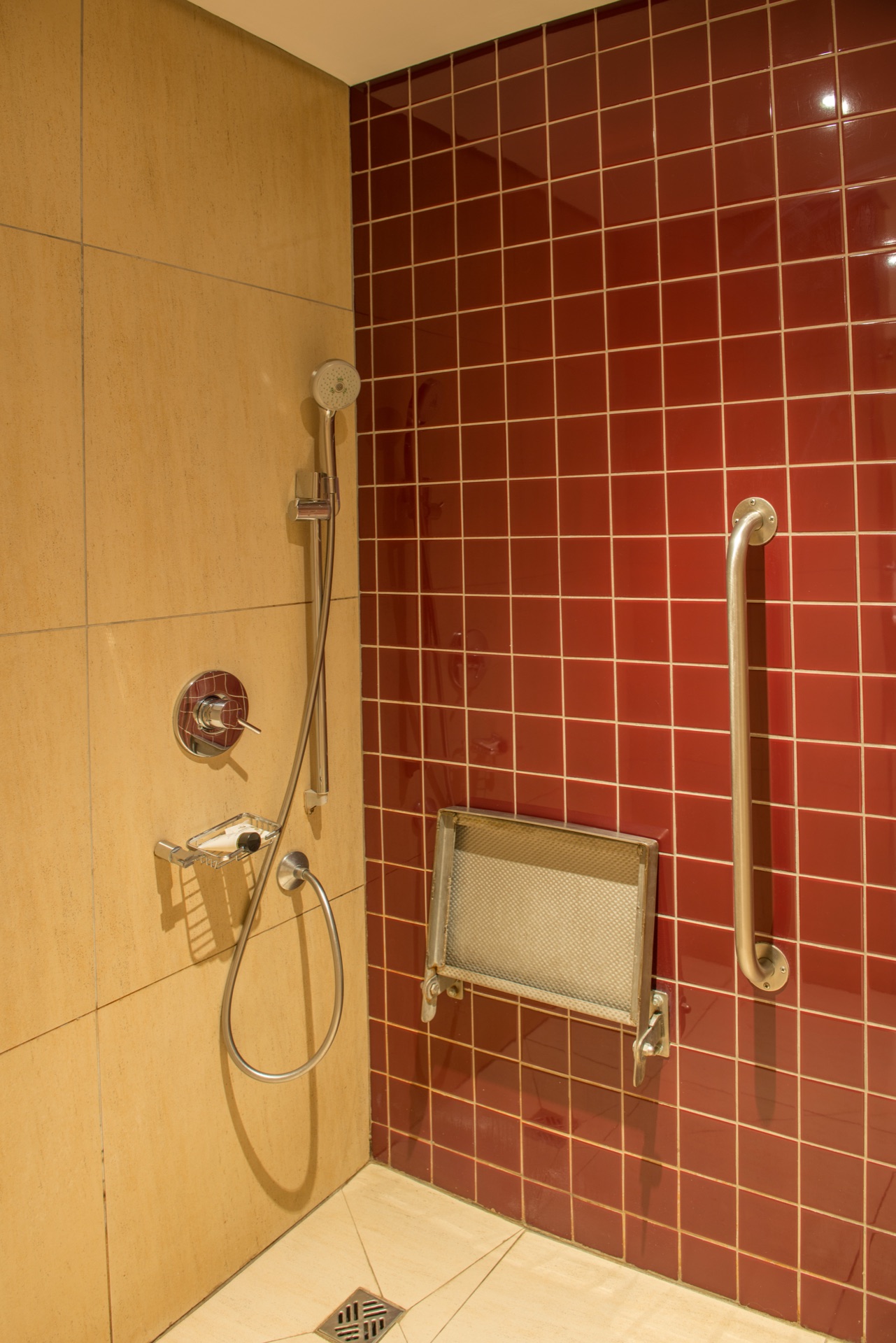 Accessible roll-in shower with fold-down seat and grab rail at Rio, Klerksdorp